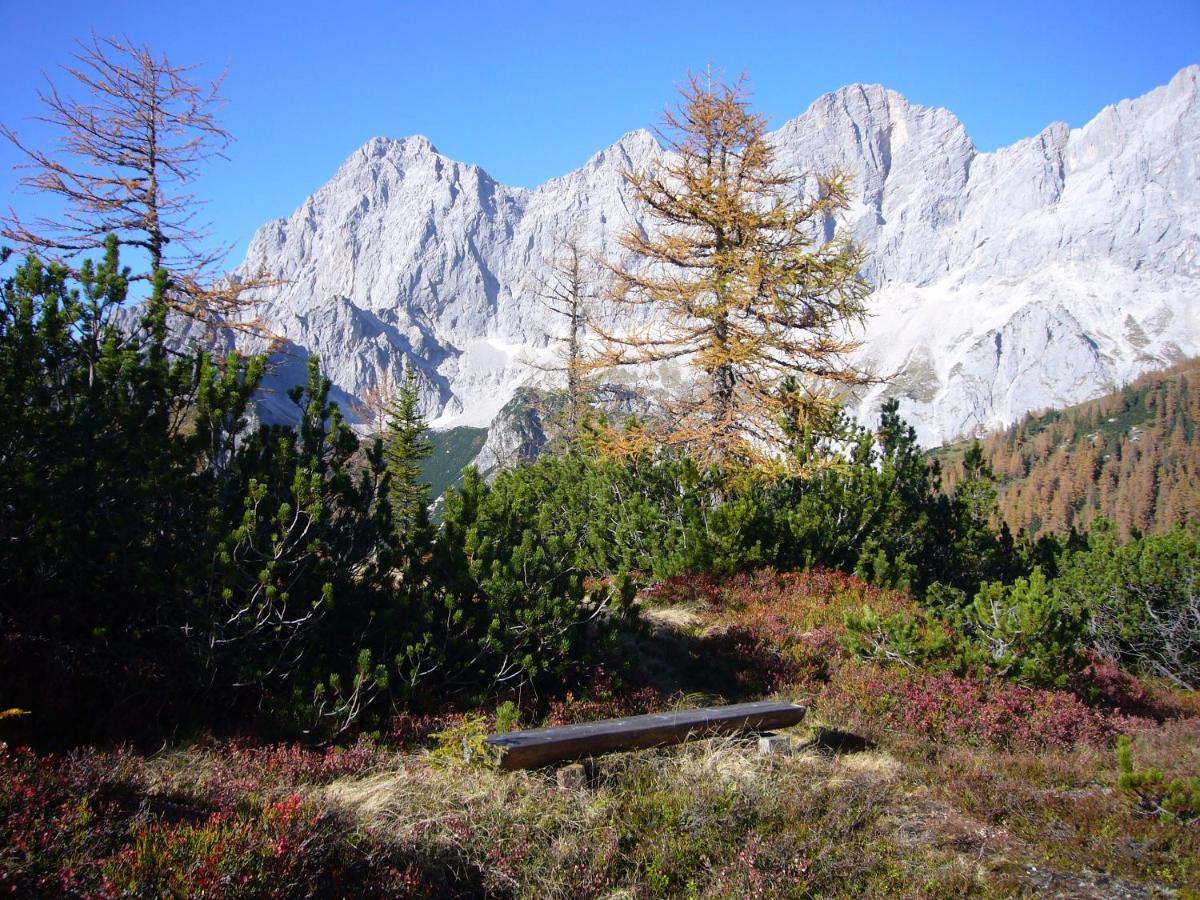 Appartements Wiesbach Ramsau am Dachstein Exterior foto